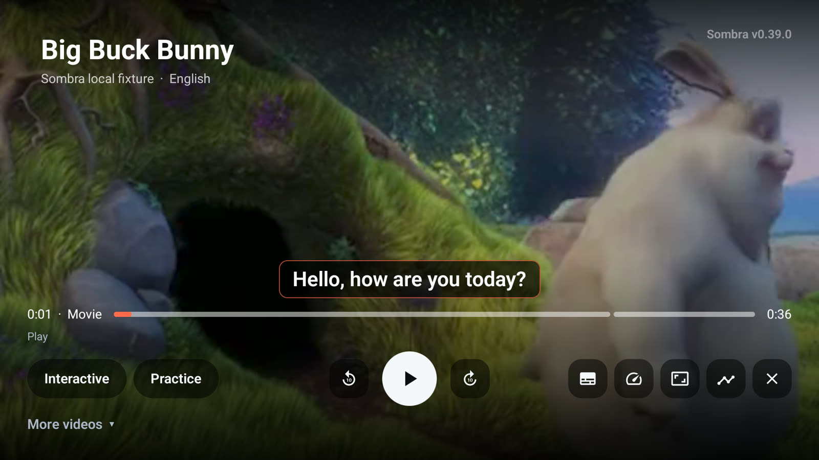 El reproductor en pausa con un subtítulo en pantalla, la barra de progreso y los controles agrupados.